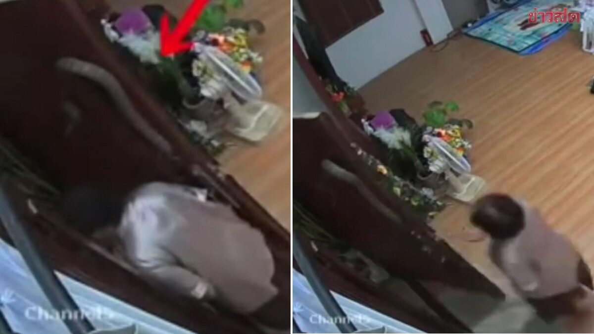 Elderly Woman Nearly Shocked by Snake Crawling on Doorway—Opened Door Without Noticing, Creature Just Inches Away