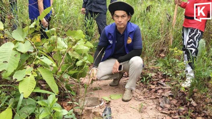 Bullfrog traps removed due to extinction concerns