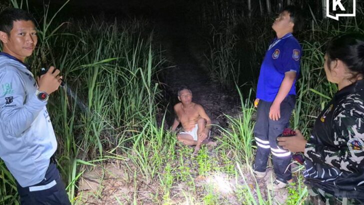 Drone spots missing man lying in forest after hours-long search