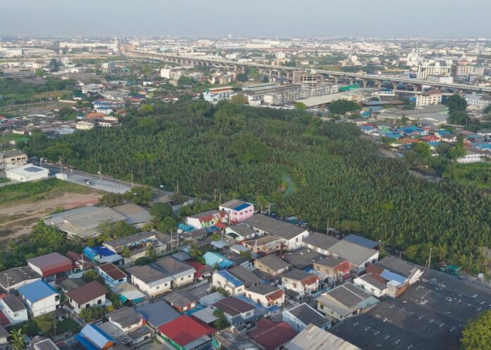 สดจากเยาวชน - ท่าฉลอม เมืองท่าที่ยังมีลมหายใจ