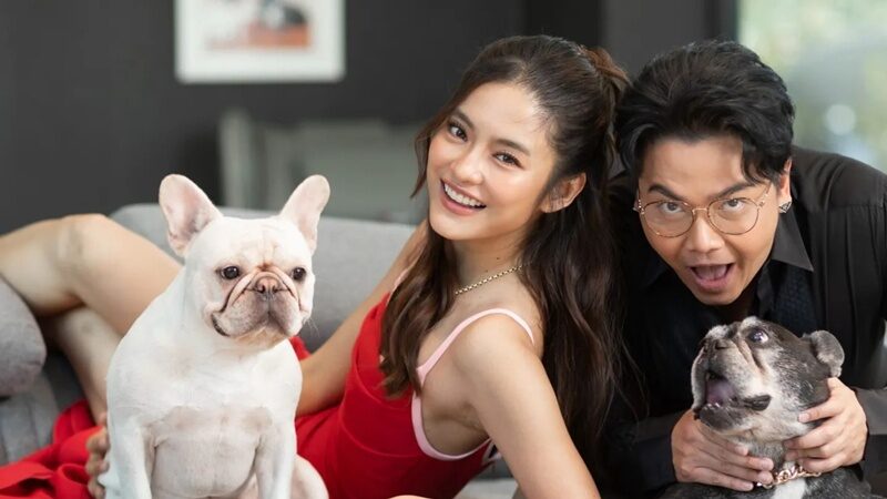 โยเกิร์ต