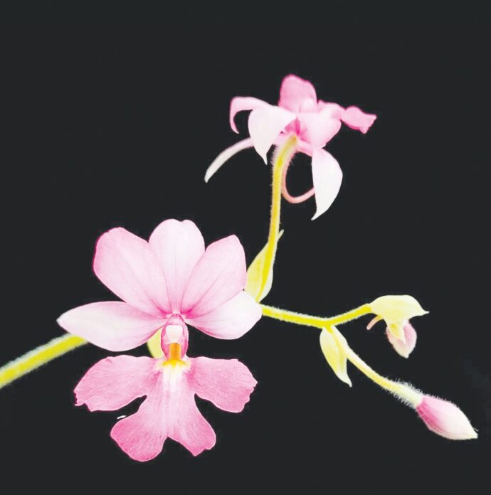 หลาก&หลายเกษตร