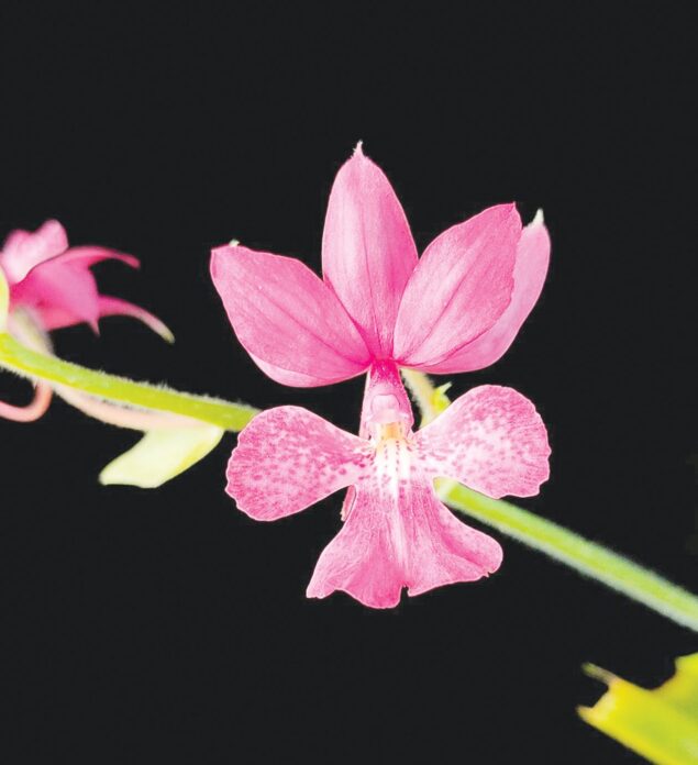 หลาก&หลายเกษตร