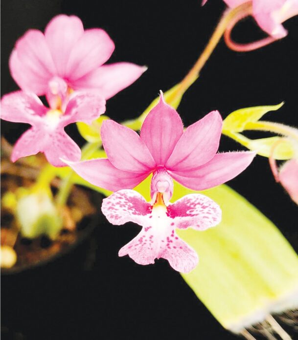 หลาก&หลายเกษตร