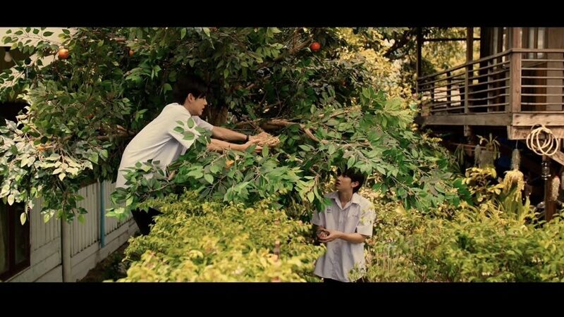 แอลม่อน