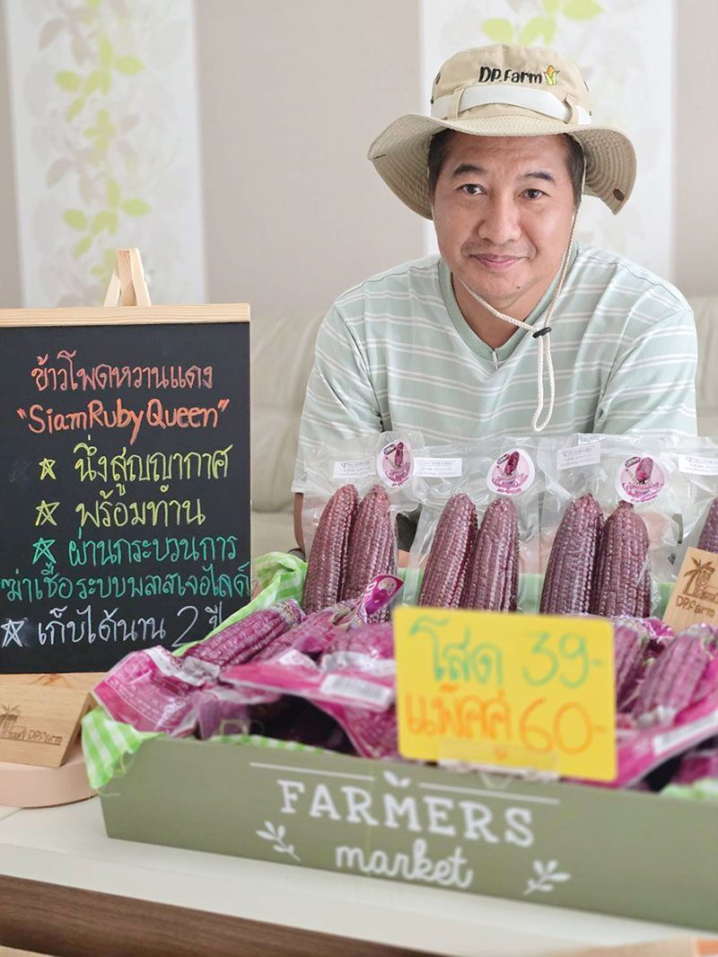 หลากหลายเกษตร - อะโวคาโด