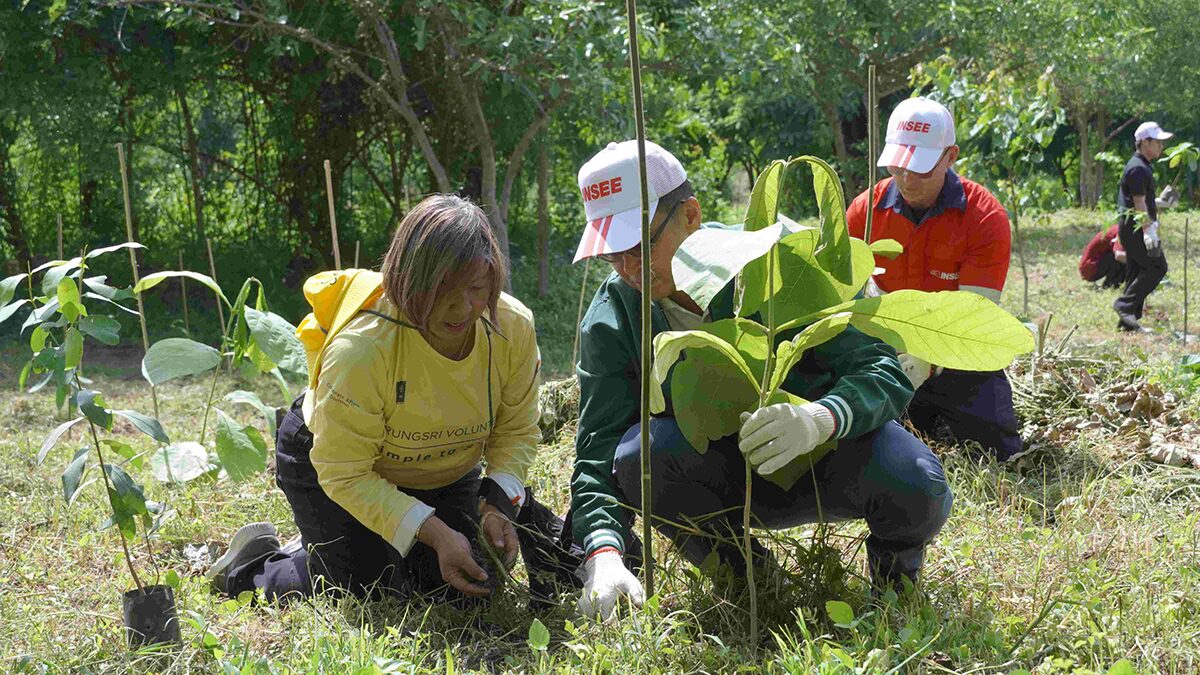 ปูนซีเมนต์นครหลวง สานพลังพันธมิตรฟื้นฟูป่า คืนสมดุลความหลากห