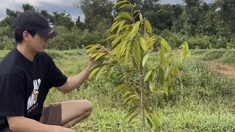 เคน ภูภูมิ
