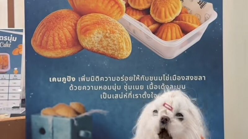 เคน ภูภูมิ