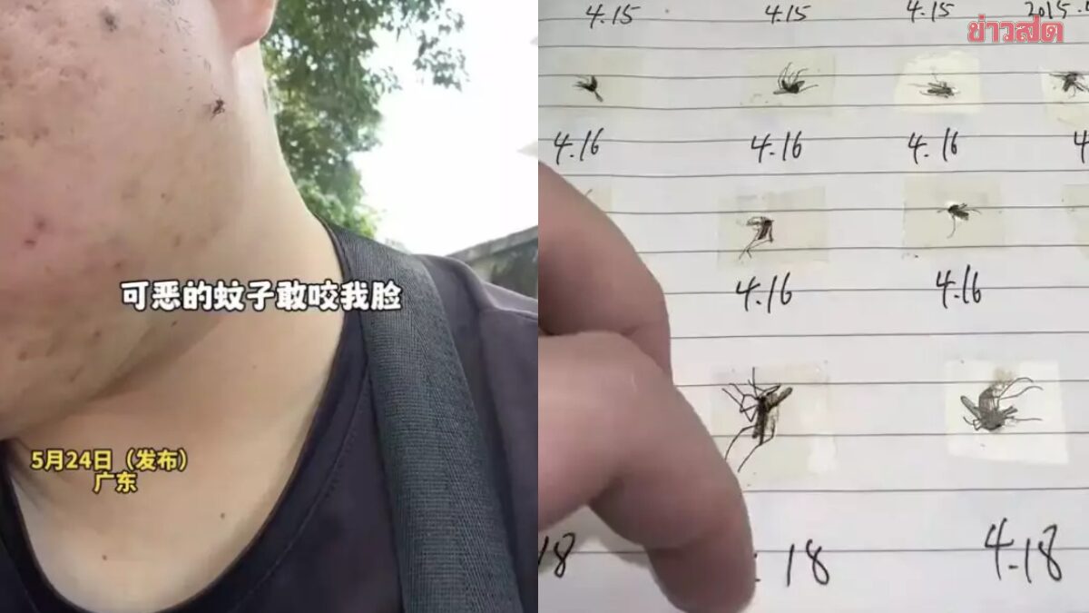 หนุ่มจีนสุดทน ถูกยุงกัดไม่หยุด ผุดไอเดียทำ สมุดบันทึกการตายข