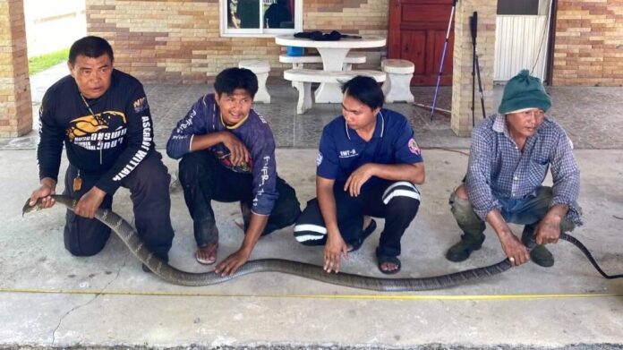 ส่องทะเบียน