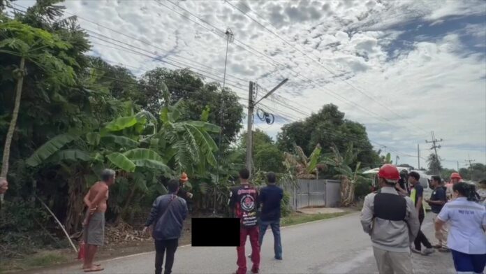 ต่อนกเขา