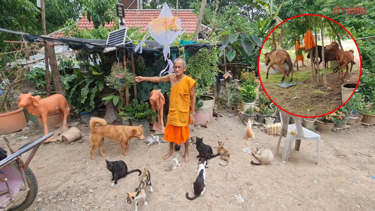 2 หลวงตาไม่ไหวแล้ว ดูแลสัตว์กว่า 60 ตัว ควักเงินส่
