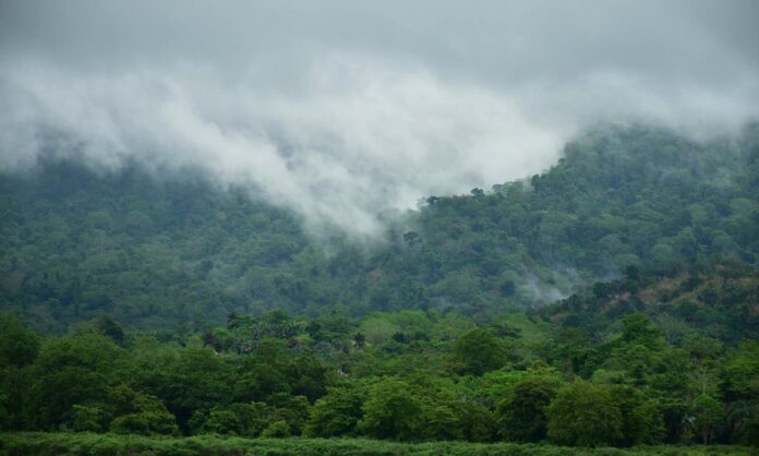 อุทยานทับลาน
