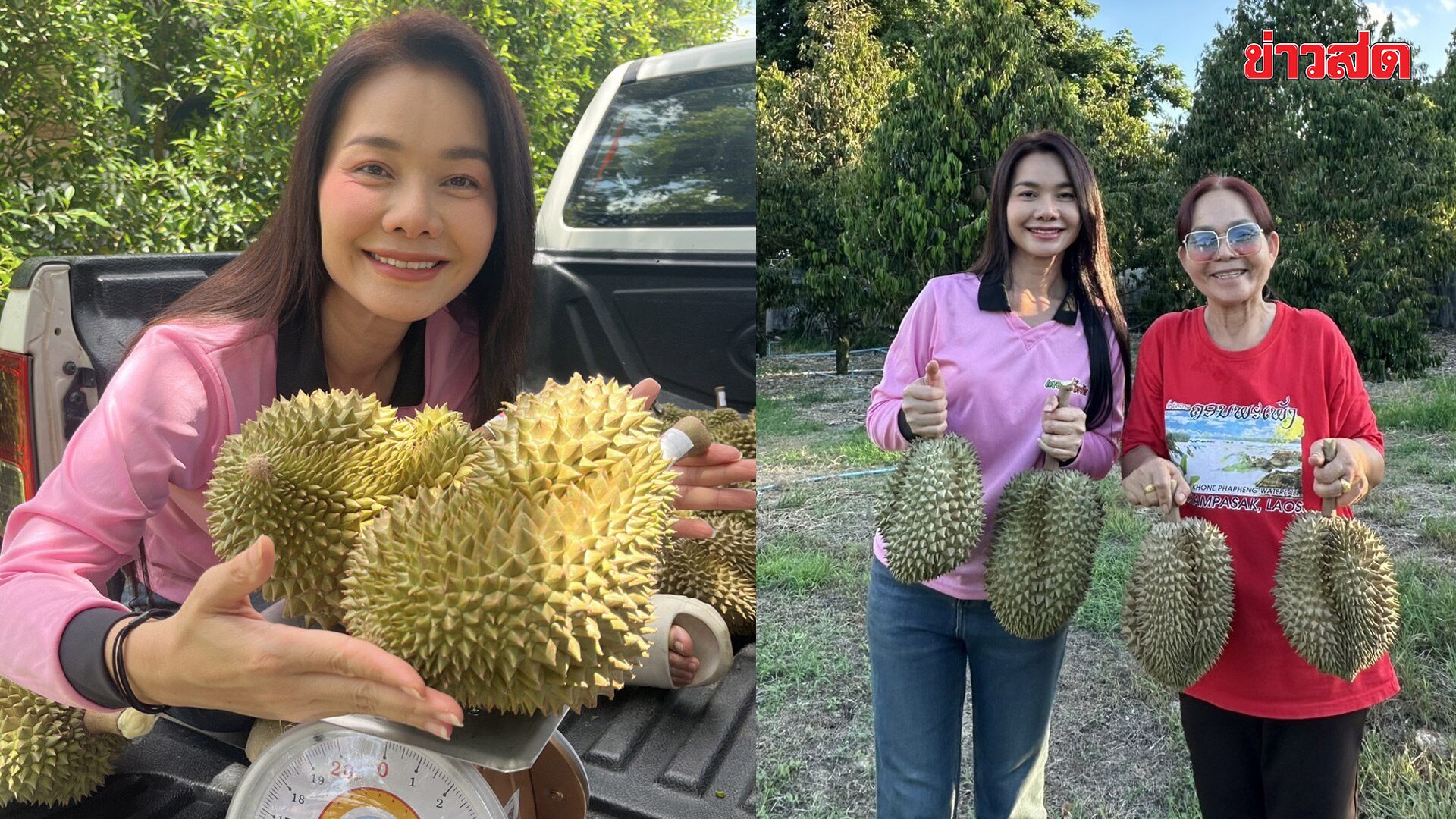 ต่าย อรทัย ปลื้มสวนทุเรียน 5 ปีออกผลรุ่นแรก กระแสเกินคาด บาง