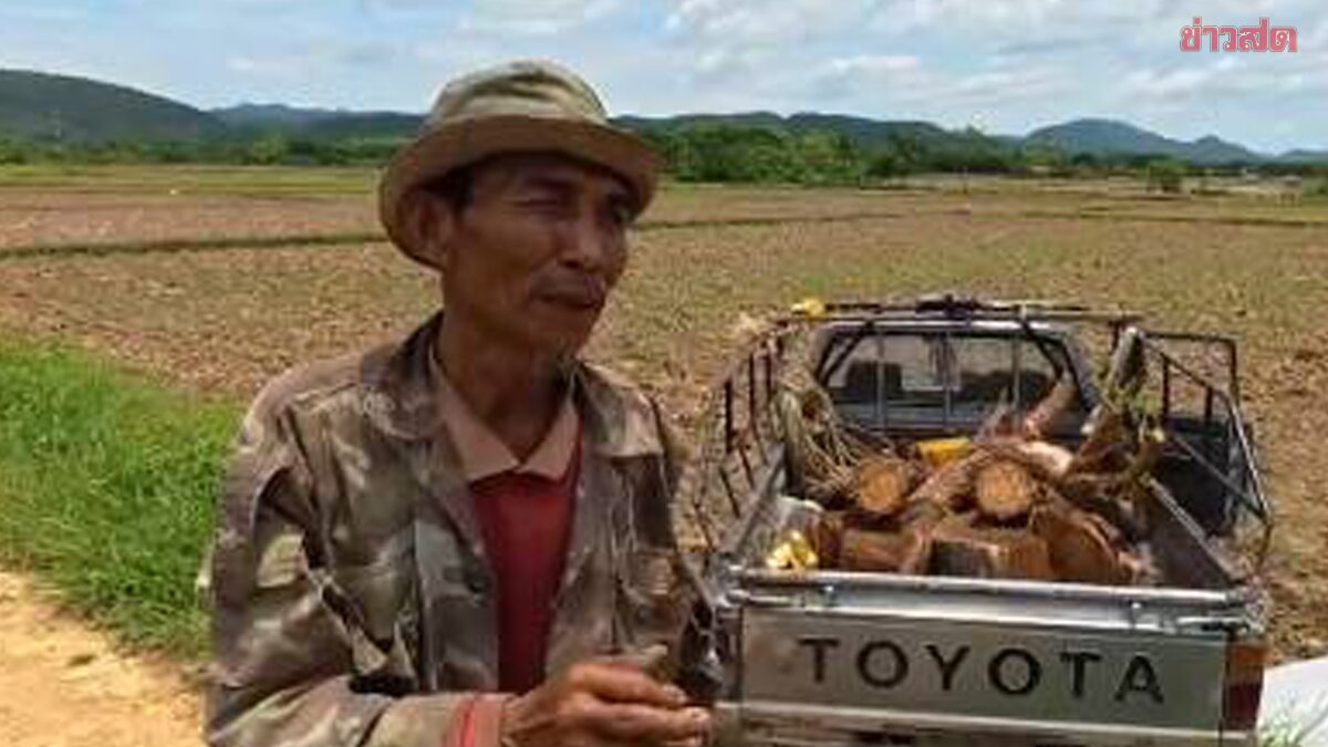 สลด กระบะบรรทุกไม้เสียหลัก ไหลทับเจ้าของรถเสียชีวิตคาล้อ