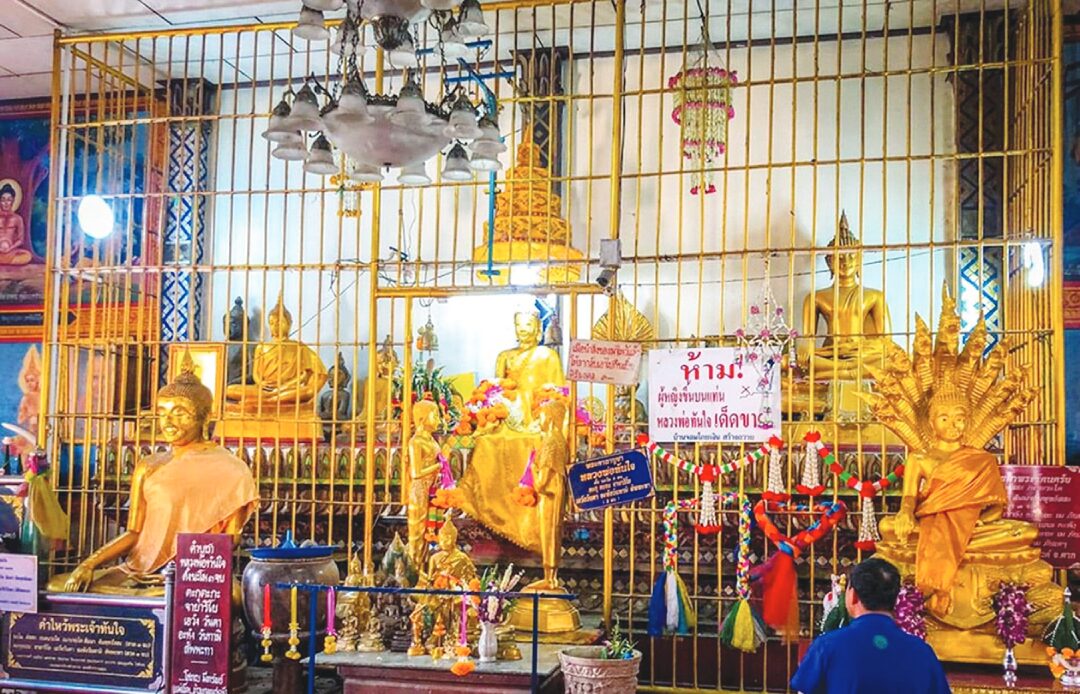 ชวนกันมา-พากันมู