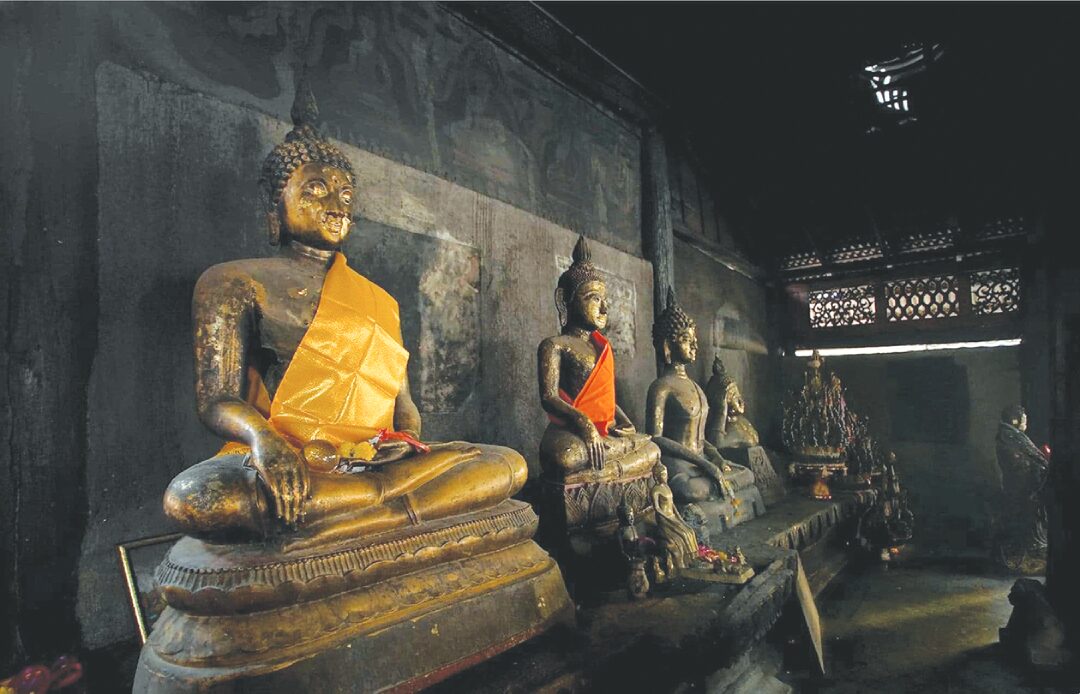 ชวนกันมา-พากันมู