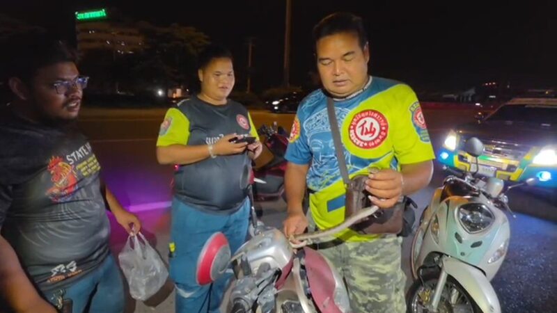 ลูกงูเหลือม