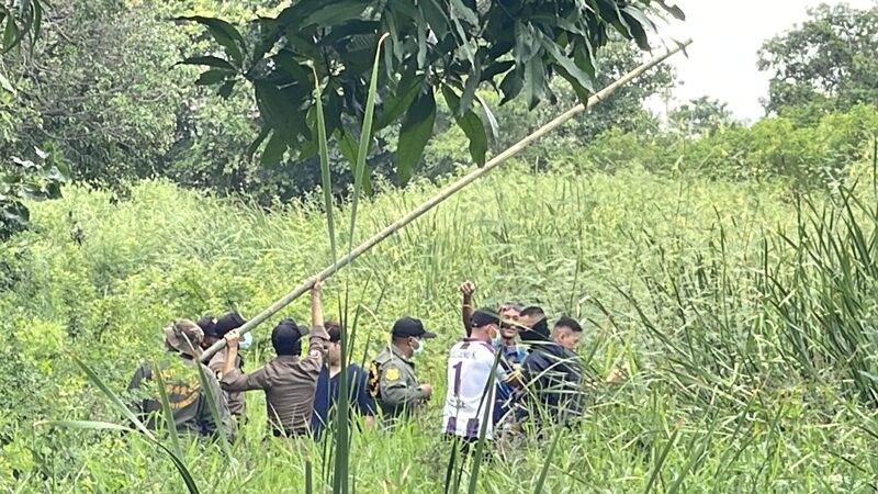 พบศพชาย