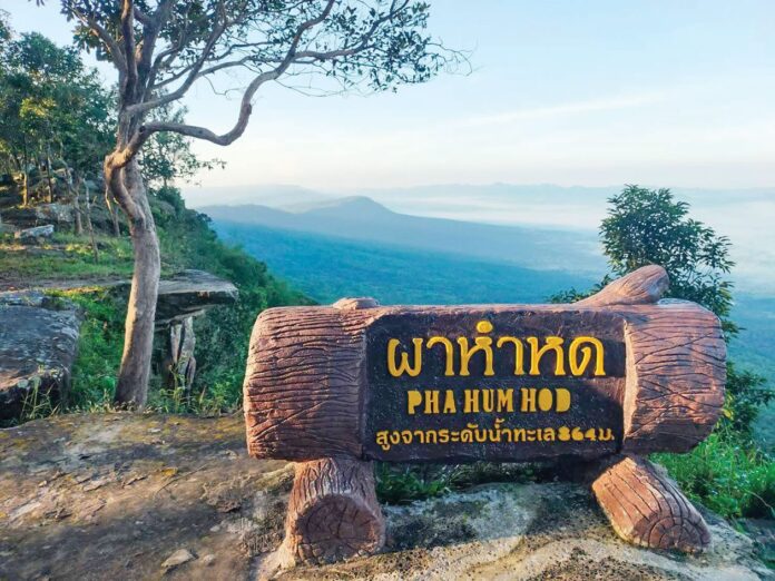 หลาก&หลายท่องเที่ยว