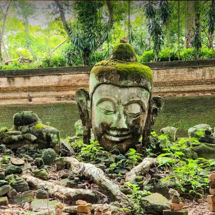 ภาพประกอบ