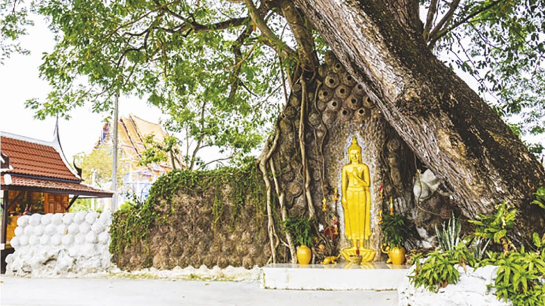 ข่าวสดพระเครื่อง