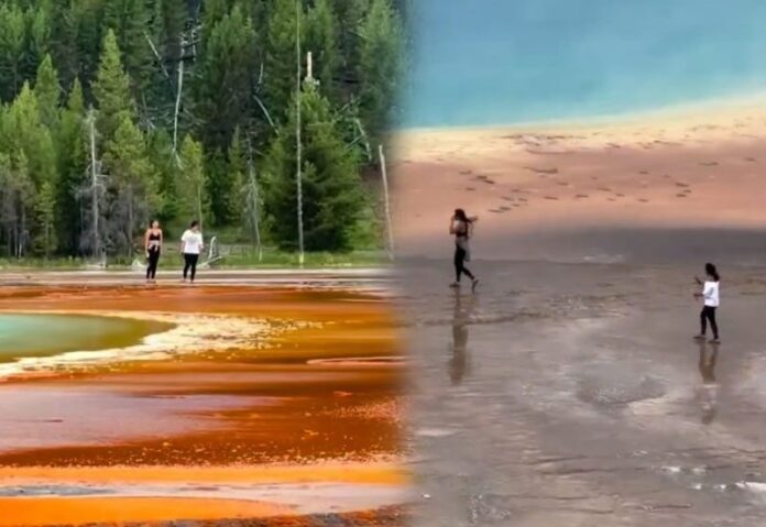 ภาพประกอบ