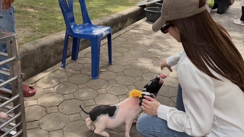 มายด์