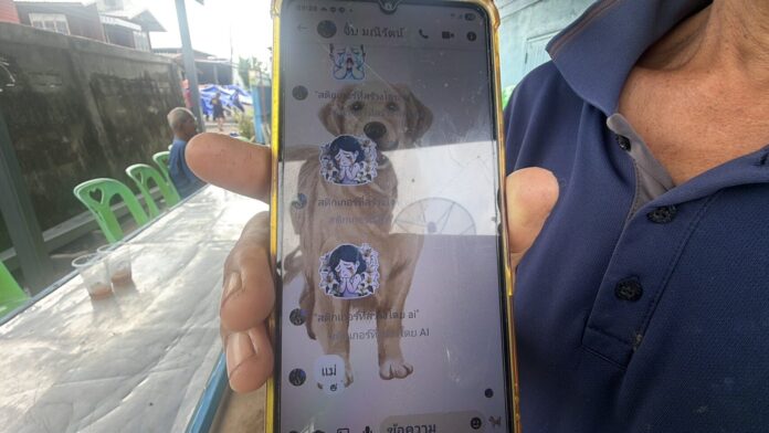 แม่ผู้ช่วยพยาบาลสาว
