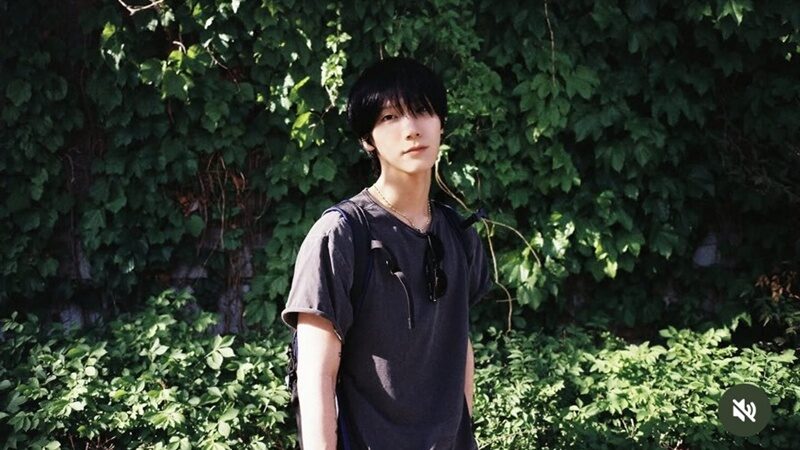 เตนล์