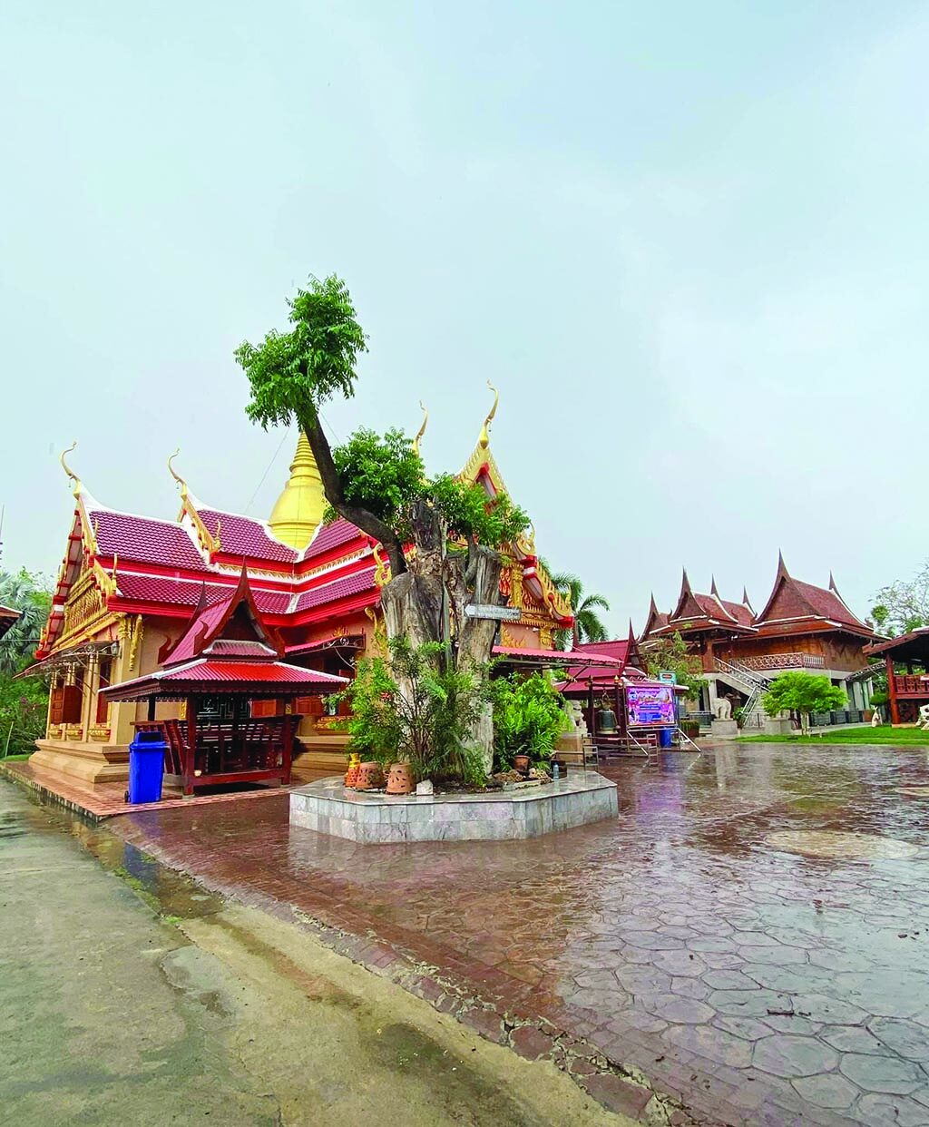ข่าวสดพระเครื่อง