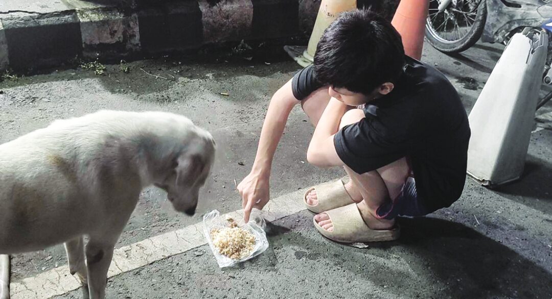 เพื่อนตัวเล็ก - ‘แม่ขาว’สุนัขแสนรู้ คาบใบเสร็จแลกข้าว