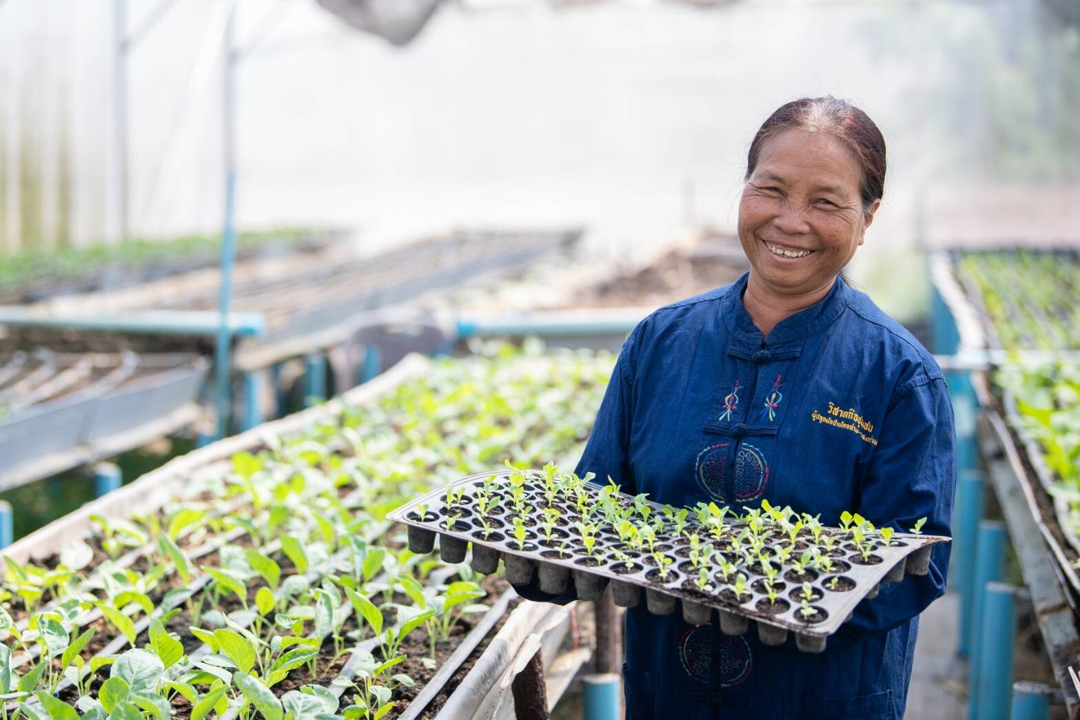 CP and Royal Foundation Boost High-Value Vegetable Farming in Udon Thani