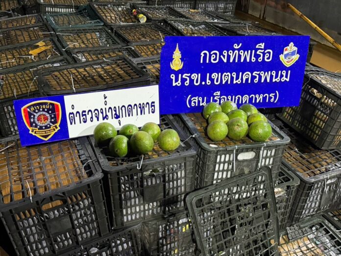 ขนอะโวคาโด 6 ตัน