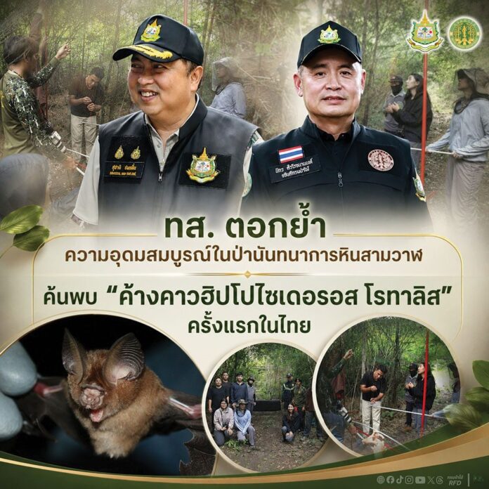 เพื่อนตัวเล็ก
