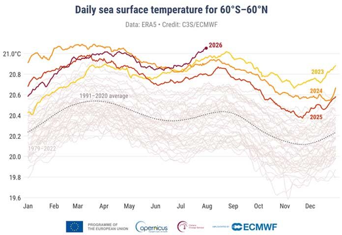 อุณหภูมิผิวน้ำทะเลเฉลี่ยรายวัน (°C) ทั่วบริเวณมหาสมุทรนอกขั้วโลก (60°S–60°N) สำหรับปี 2023 (สีเหลือง), 2024 (สีส้ม), 2025 (สีแดง) และ 2026 (สีแดงเข้ม) ส่วนปีอื่นๆ ระหว่างปี 1979 ถึง 2022 แสดงด้วยเส้นสีเทา ค่าเฉลี่ยรายวันสำหรับช่วงเวลาอ้างอิงปี 1991–2020 แสดงด้วยเส้นประสีเทา