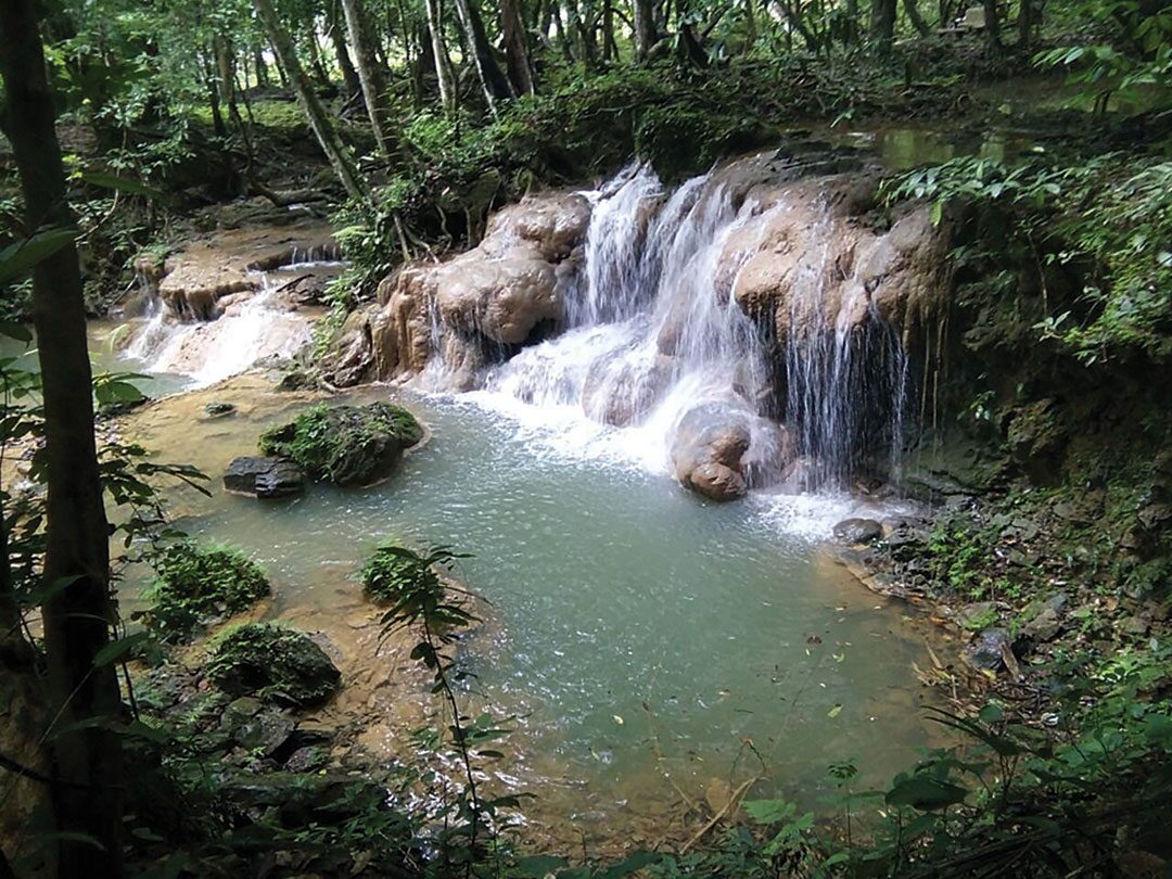 หลาก&หลายท่องเที่ยว-ท่องป่าพรหมจรรย์-ยลน้ำตก อุทยานแห่งชาติเขาปู่-เขาย่า