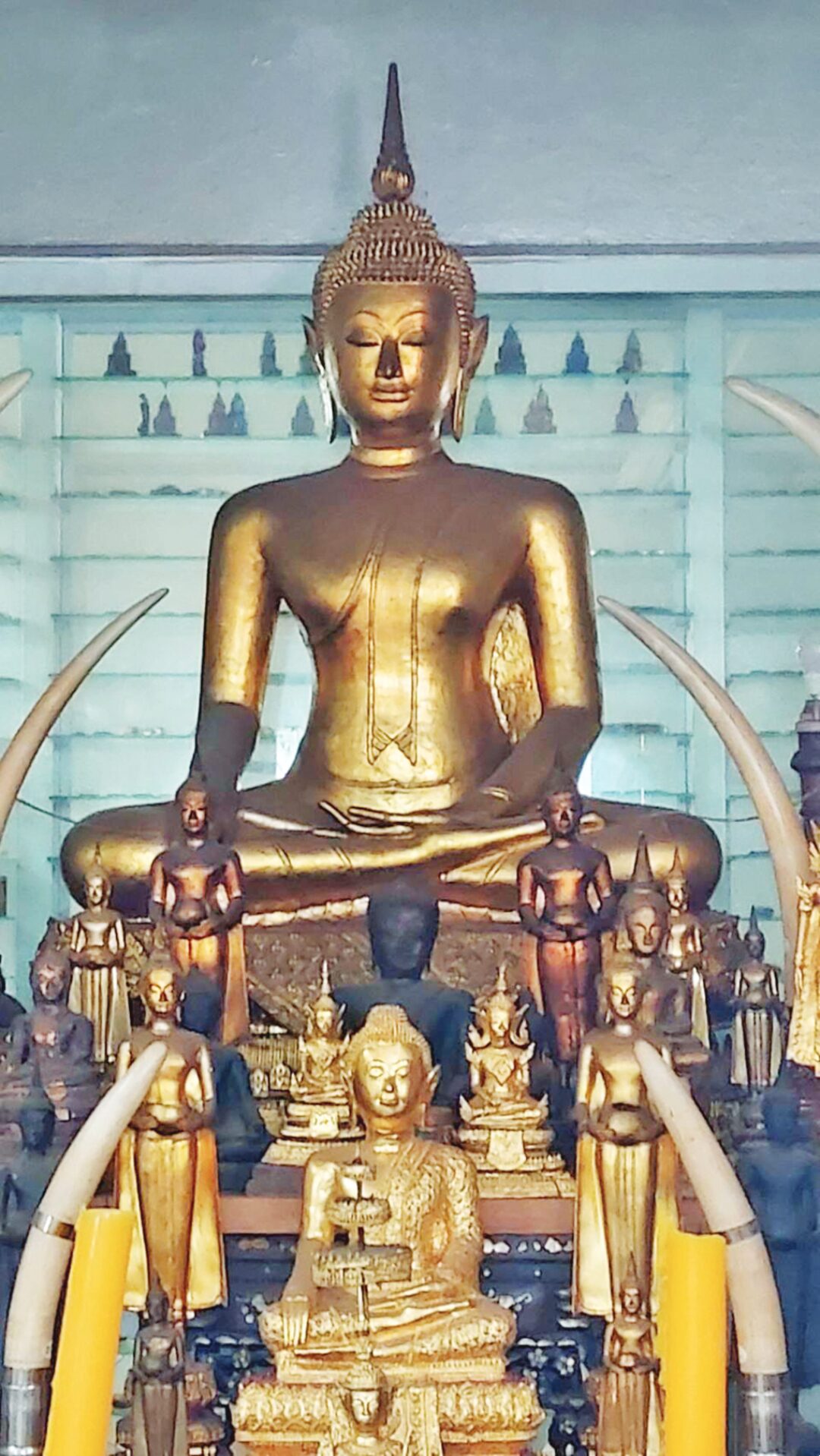 ชวนกันมา-พากันมู