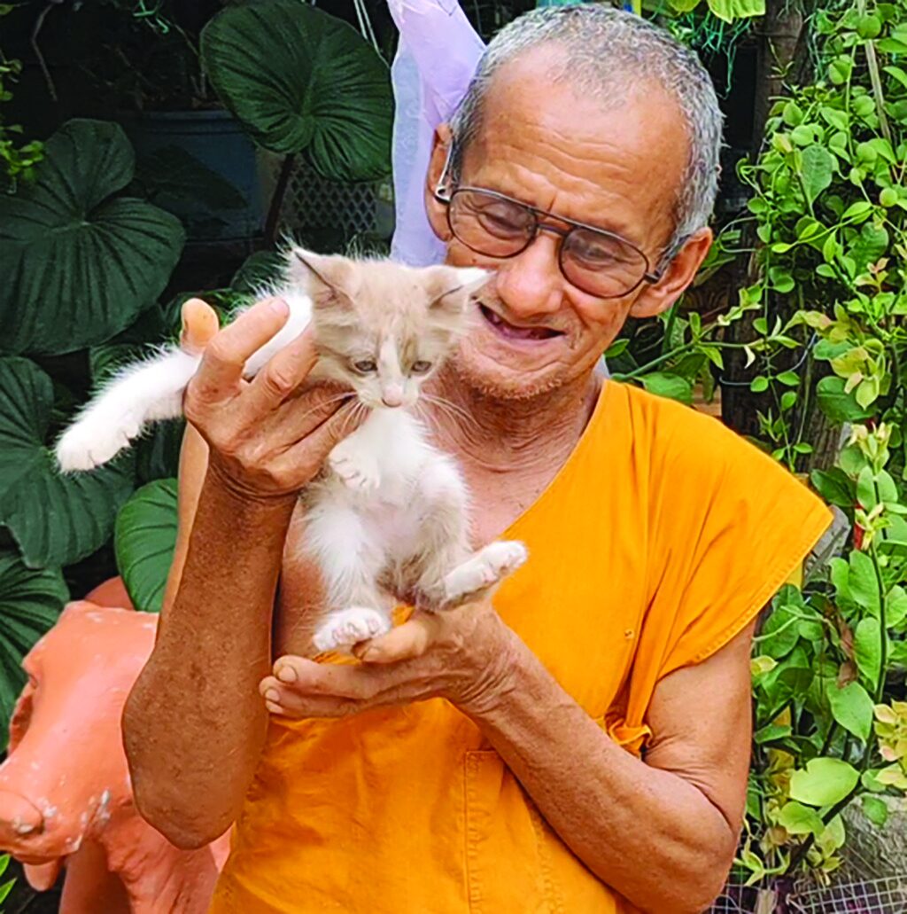 เพื่อนตัวเล็ก - สองพระชราควักเงิน-เบี้ยสูงอายุ เลี้ยงม้า-สุนัข-แมวจร 60 ชีวิต