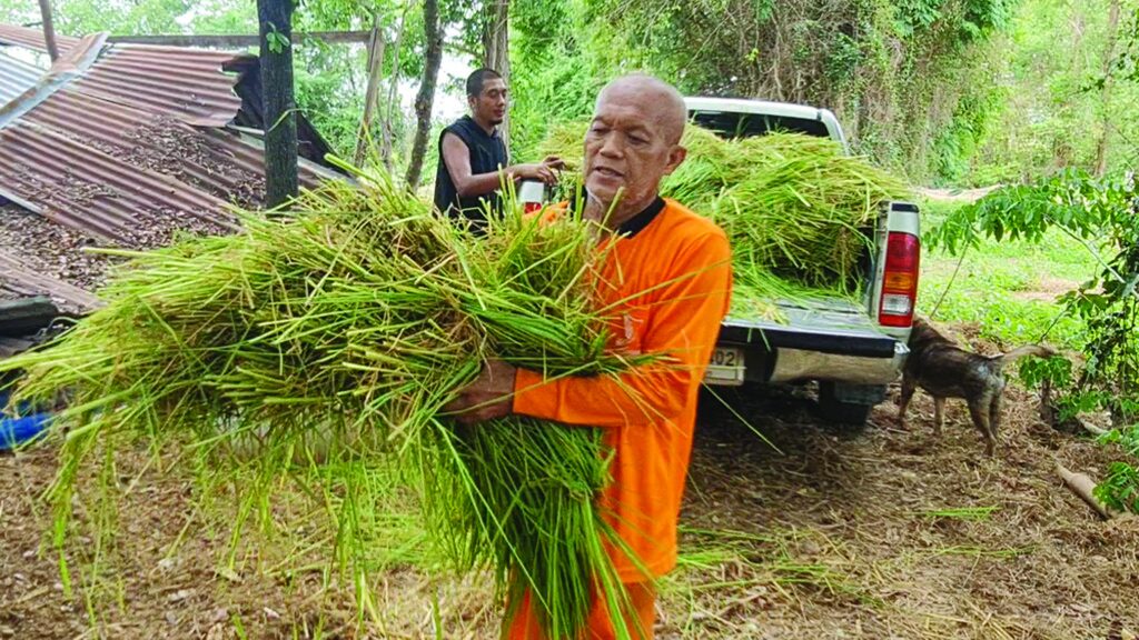 เพื่อนตัวเล็ก - สองพระชราควักเงิน-เบี้ยสูงอายุ เลี้ยงม้า-สุนัข-แมวจร 60 ชีวิต