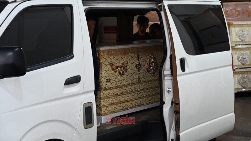 สุนัขพันธุ์แบนด๊อก