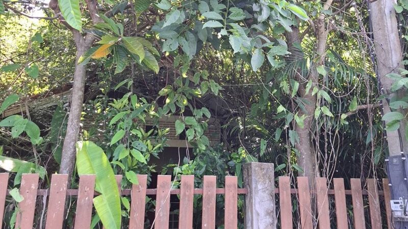 บ้านร้าง
