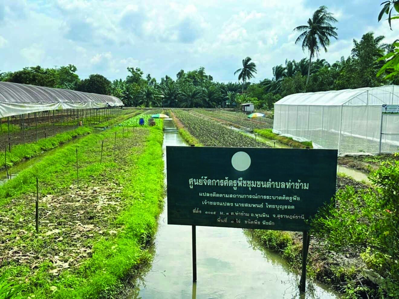 หลาก&หลายเกษตร