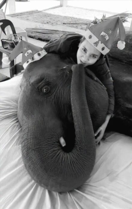 ภาพประกอบ