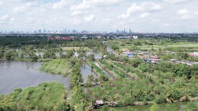 สดจากเยาวชน