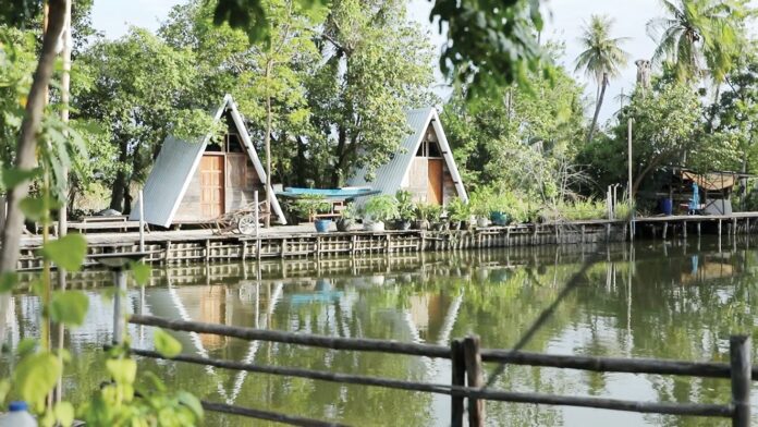 สดจากเยาวชน