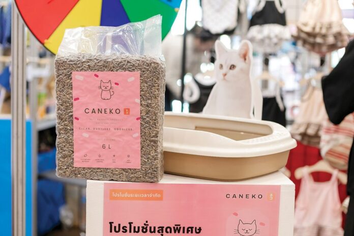ไอคิวทะลุฟ้า