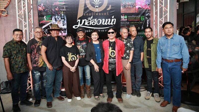ต้นข้าว