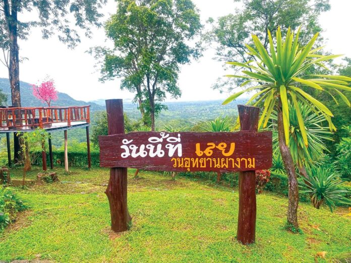 หลาก&หลายท่องเที่ยว